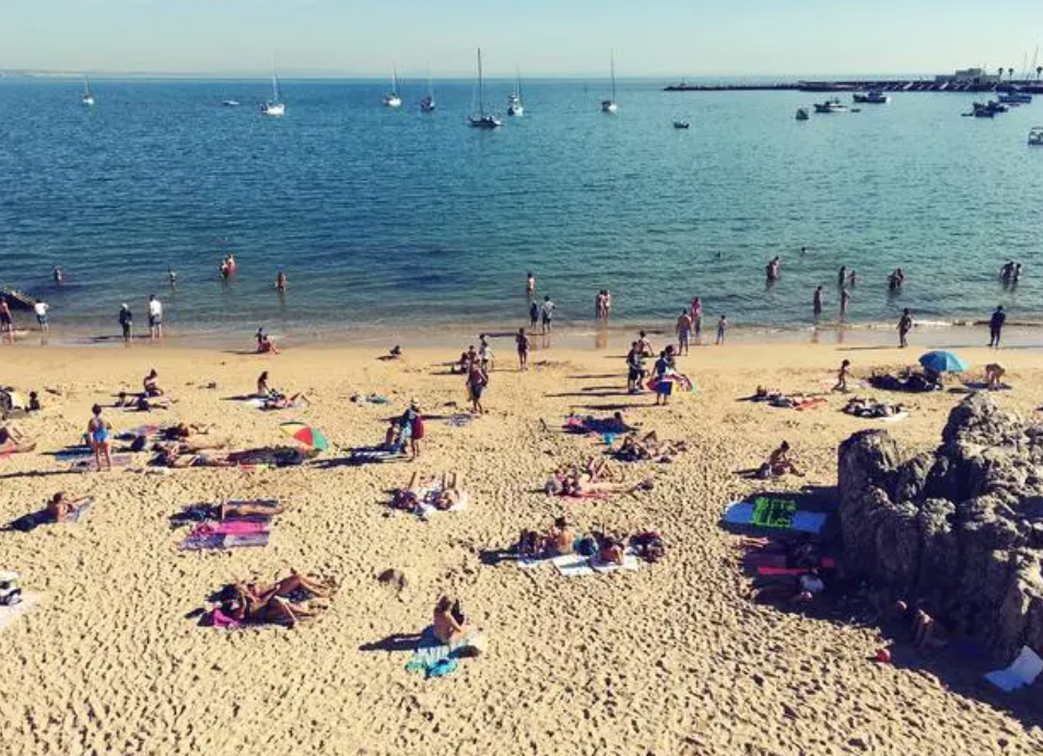 1711695572156704.png image.png